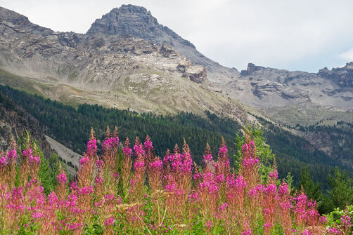 Le pic de Rochebrune