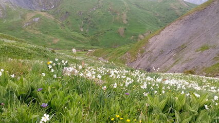 Escursione giornaliera con l'Ufficio delle Guide della Grave - © Bureau des guides de la Grave
