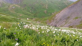 Escursione giornaliera con l'Ufficio delle Guide della Grave - © Bureau des guides de la Grave