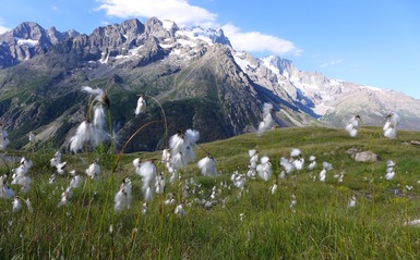 Escursione giornaliera con l'Ufficio delle Guide della Grave - © Bureau des guides de la Grave