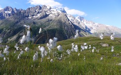 Escursione giornaliera con l'Ufficio delle Guide della Grave - © Bureau des guides de la Grave