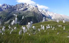 Bureau des guides de la Grave - © Bureau des guides de la Grave