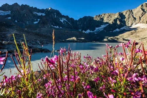Lakes and Arsine pass from Arsine