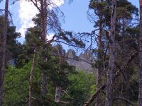 The disheveled ladies of Sachas - © Camille Le Corre