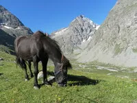 Chalet rifugio di Chamoissière - © ©S.Louvet