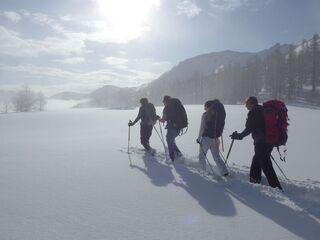 Stage de survie en hiver avec nuit en igloo - Terres de Trek - © Terres de Trek