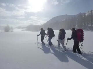 Stage survie en hiver Terres de Trek - © Terres de Trek