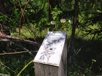 Il percorso botanico - © C.Le Corre