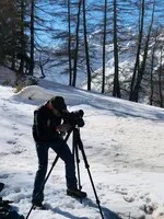 observation respectueuse de la faune - © @P.morillon