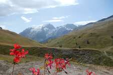 Massif de la Meije vue du fond de la buffe - © ©Isabelle. 