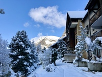 Poulet Marie - Appartement n°27 - LEAMEIJE - © marie poulet