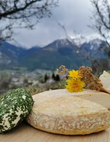 fromages - © S.Morattel
