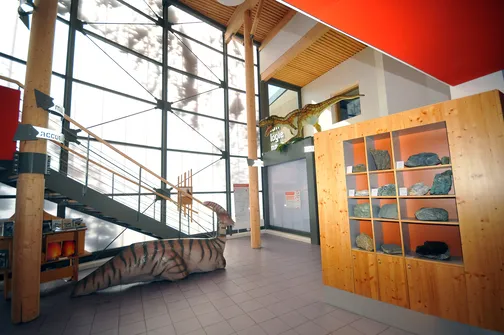 Maison de la Géologie : les animations