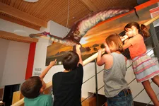 Maison de la Géologie - © Maison de la Géologie