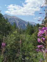 Chalets du Vallon - Val-des-Prés - © Morattel Soline