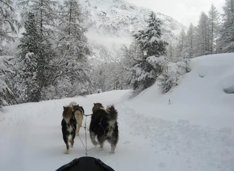 Séjour Multi-activités Hiver "Sur les traces de Jack London" - Le Chalet d'en Hô