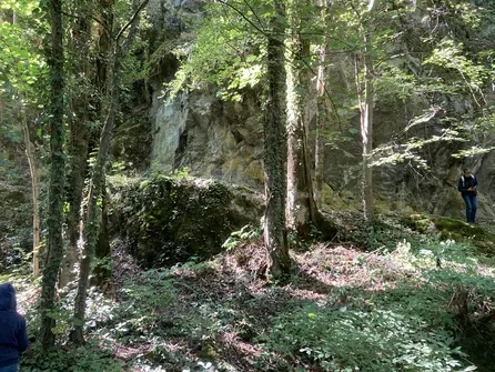 La voie de Rochetaillée