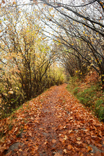 Puy-Saint-André art trail - © Soline Morattel