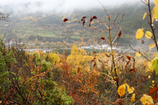 Puy-Saint-André art trail - © Soline Morattel