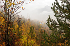 Puy-Saint-André art trail - © Soline Morattel