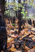 Puy-Saint-André art trail - © Soline Morattel