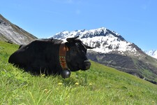 Julie PROTIERE - © ©SionnetChristian