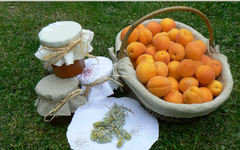 Guest House La Roche Méane - © ©RocheMéane