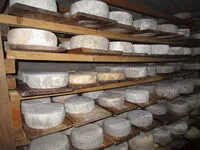 Brunet Farm - Gaec Du Lasseron - © G.DuLasseron