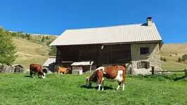 Brunet Farm - Gaec Du Lasseron - © Myrtille Brunet
