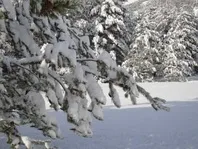 Paysage ennneigé - © ©lameijeblanche
