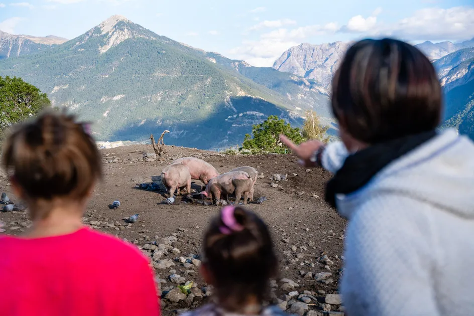 Visite en famille de la ferme, direction les vaches - © Alpes Photographies