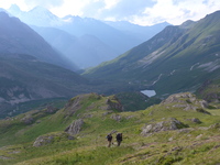 Tour du Thabor in 5 days with Terres de Trek - © Terres de Trek