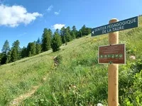 Il sentiero didattico della Taure nella riserva biologica del Bois des Ayes - © ONF Jeandon Edouard