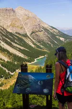 Il sentiero didattico della Taure nella riserva biologica del Bois des Ayes - © Balacé Amandine