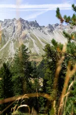 Il sentiero didattico della Taure nella riserva biologica del Bois des Ayes - © Balacé Amandine