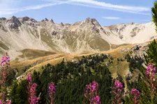 Il sentiero didattico della Taure nella riserva biologica del Bois des Ayes - © Balacé Amandine