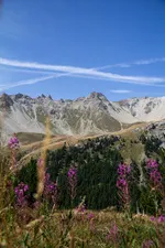 Il sentiero didattico della Taure nella riserva biologica del Bois des Ayes - © Balacé Amandine