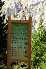 Il sentiero didattico della Taure nella riserva biologica del Bois des Ayes - © Balacé Amandine