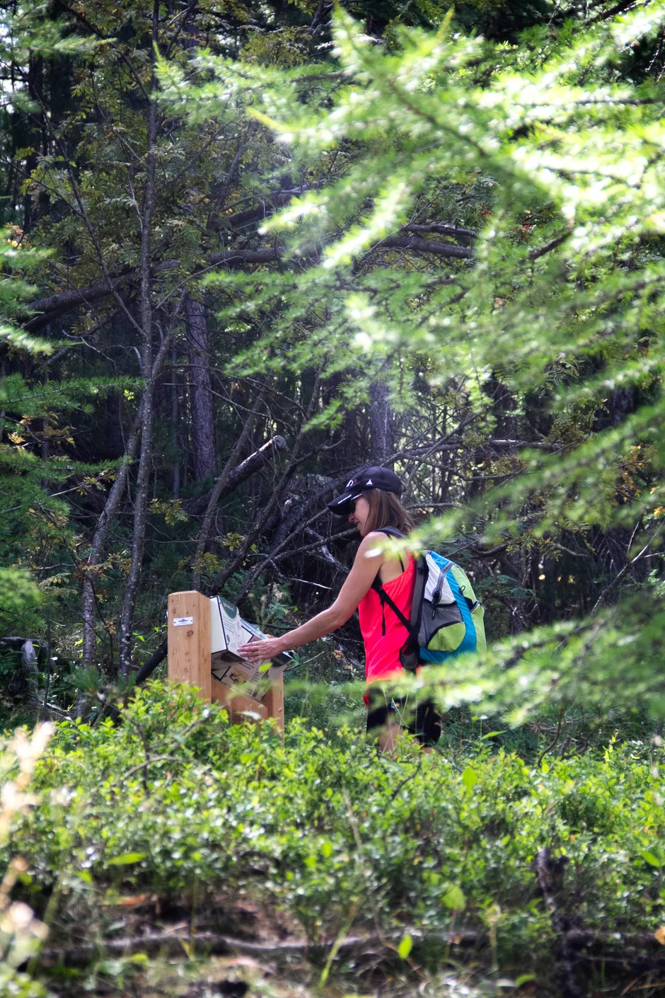 Il sentiero didattico della Taure nella riserva biologica del Bois des Ayes - © Balacé Amandine