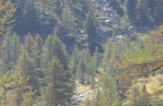 Moulinière - © Boulay G