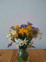 Fleurs de montagne - © Cécile Lancien