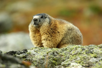 Hiking - © Laurent Meyer