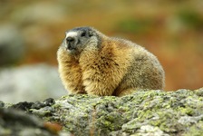 Hiking - © Laurent Meyer