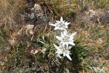 Hiking - © Laurent Meyer