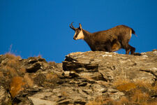 Hiking - © Laurent Meyer