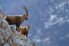 Hiking - © Laurent Meyer