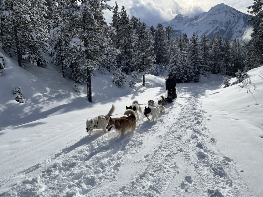 Chiens de traineaux avec le Chalet d'en Hô - © Chalet d'en Hô