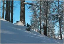 Snow shoes - © bureau montagne briançon