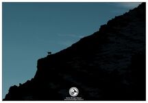 Snow shoes - © bureau montagne briançon