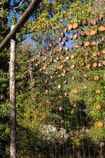 Oeuvre de Yoann Crepin - Montagne suspendue - © Balacé Amandine